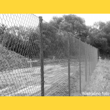 Čtyřhranné pletivo 50/3,50-2,50/125/10m / PVC BND / ZN+PVC9005