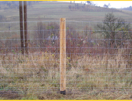 Knotted fence 115/15/12dr. / 2,20x3,10