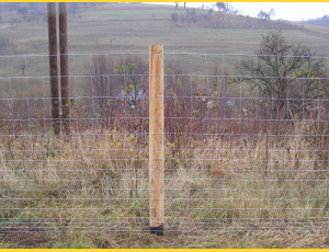 Knotted fence 200/15/17dr. / 2,20x3,10