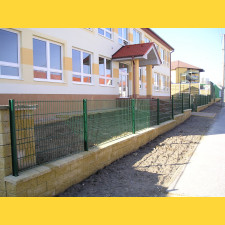 Fence panel DOUBLE 6/5/6 / 1230x2500 / ZN+PVC6005