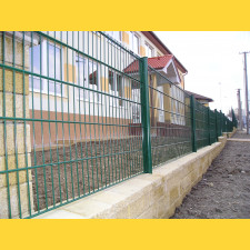 Fence panel DOUBLE 6/5/6 / 1230x2500 / ZN+PVC6005