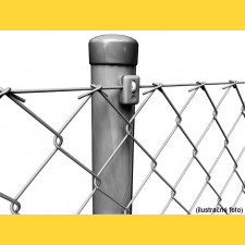 Chain link fence 50/2,00/100/15m / ZN BND