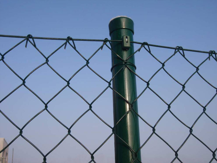 Chain link fences